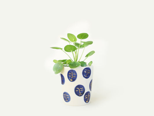 Face Planter / Utensil Holder