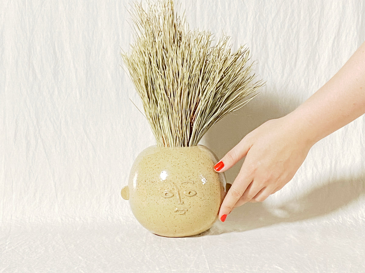 Face Vase