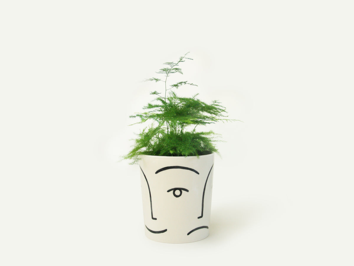 Face Planter / Utensil Holder