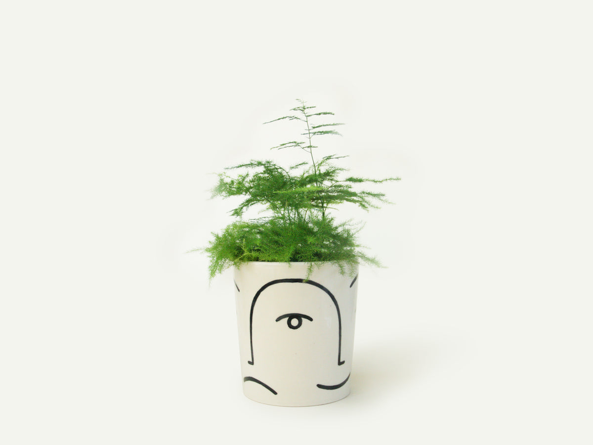 Face Planter / Utensil Holder