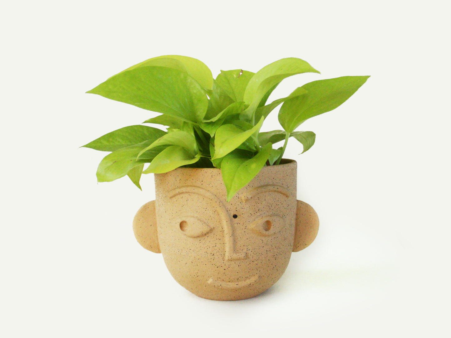 Dimensional Face Planter / Utensil Holder