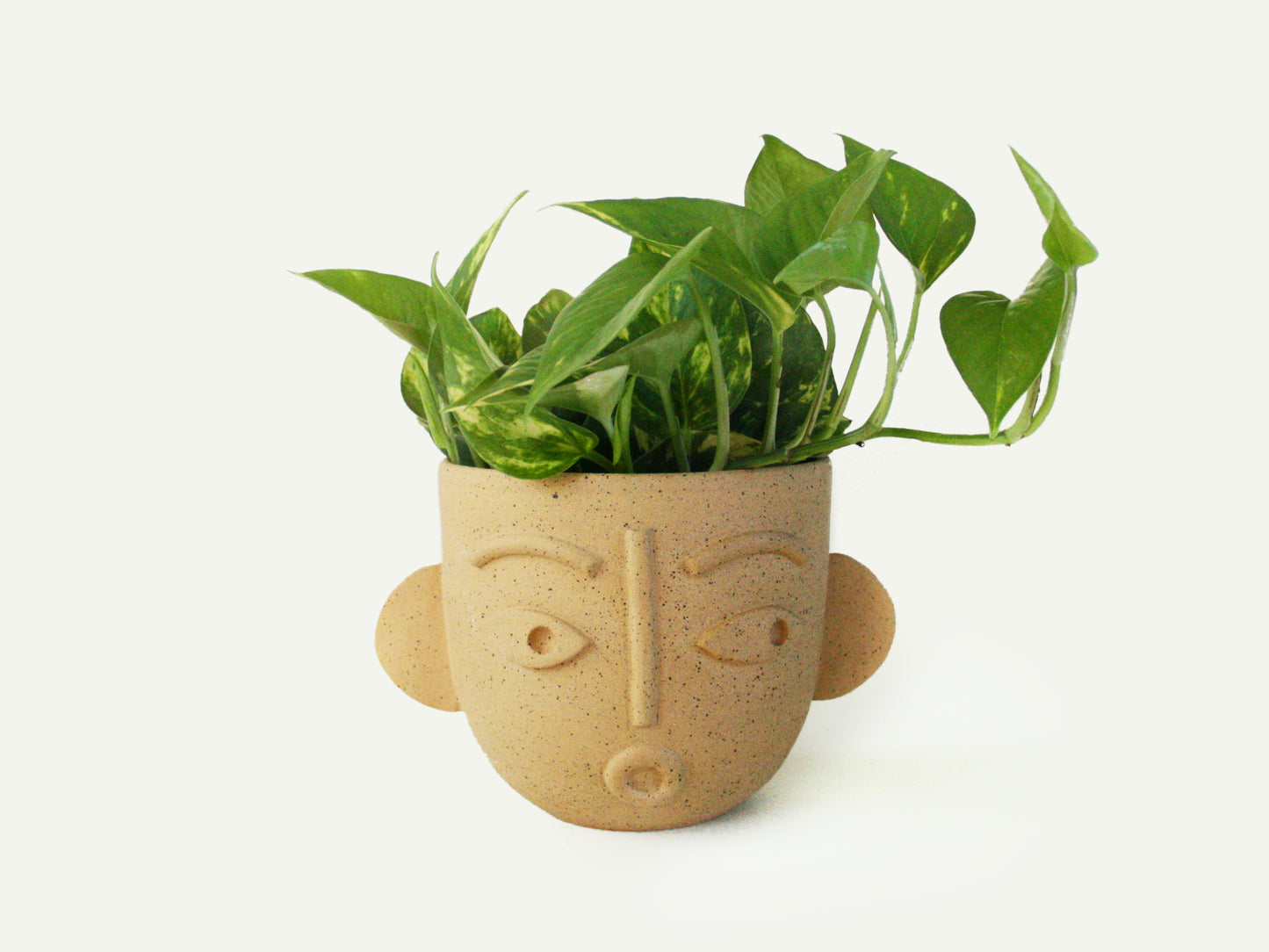 Dimensional Face Planter / Utensil Holder