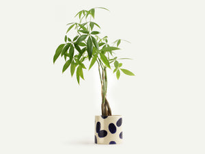Dark Blue Ceramic Polka Dot Planter