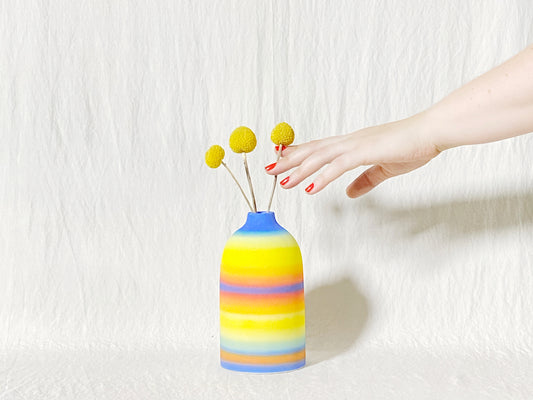 "Blur" Vase - Rainbow Ombre (2)