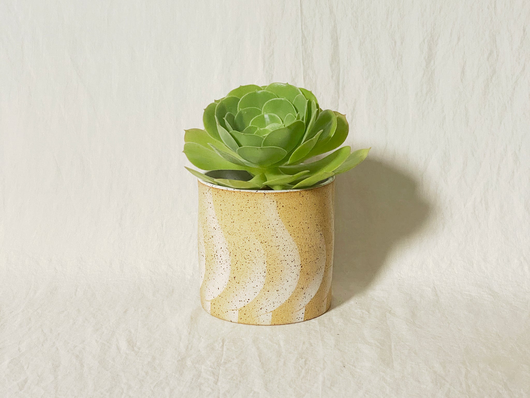 Butt Planter / Pot