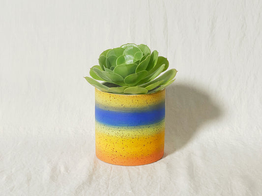 "Blur" Planter / Pot - Rainbow Ombre