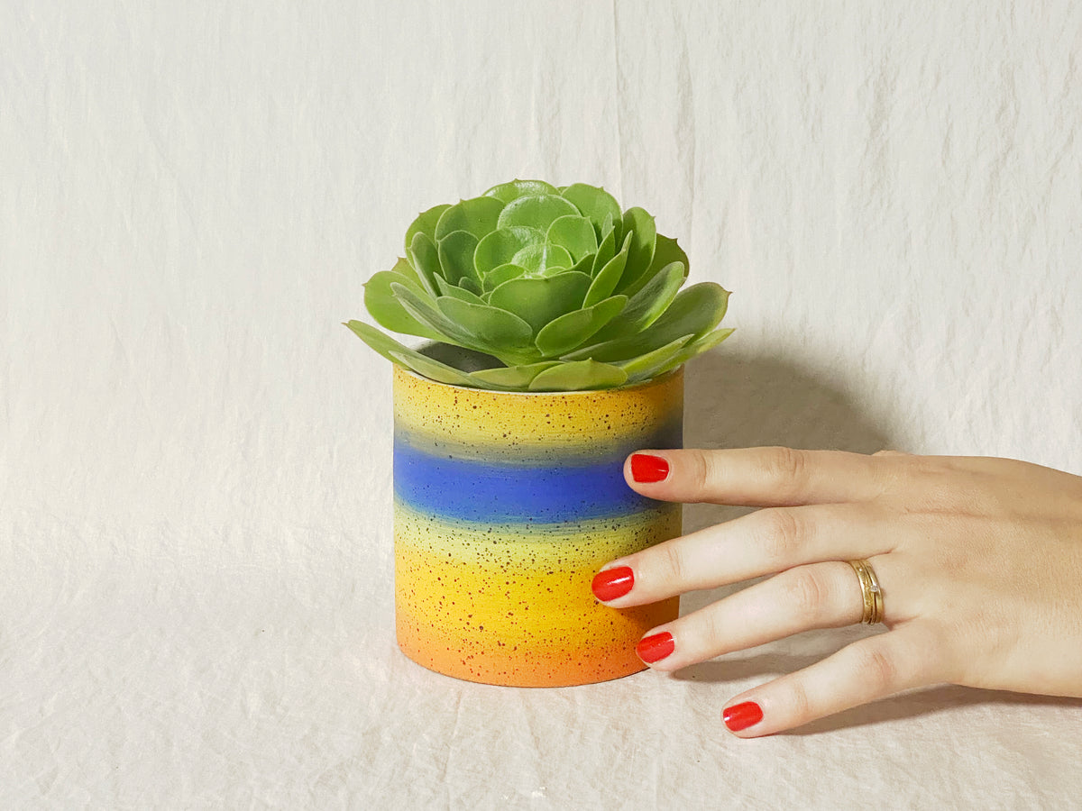 "Blur" Planter / Pot - Rainbow Ombre