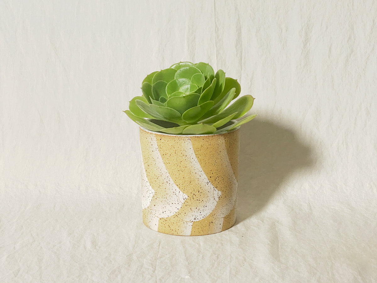 Boob Planter / Pot
