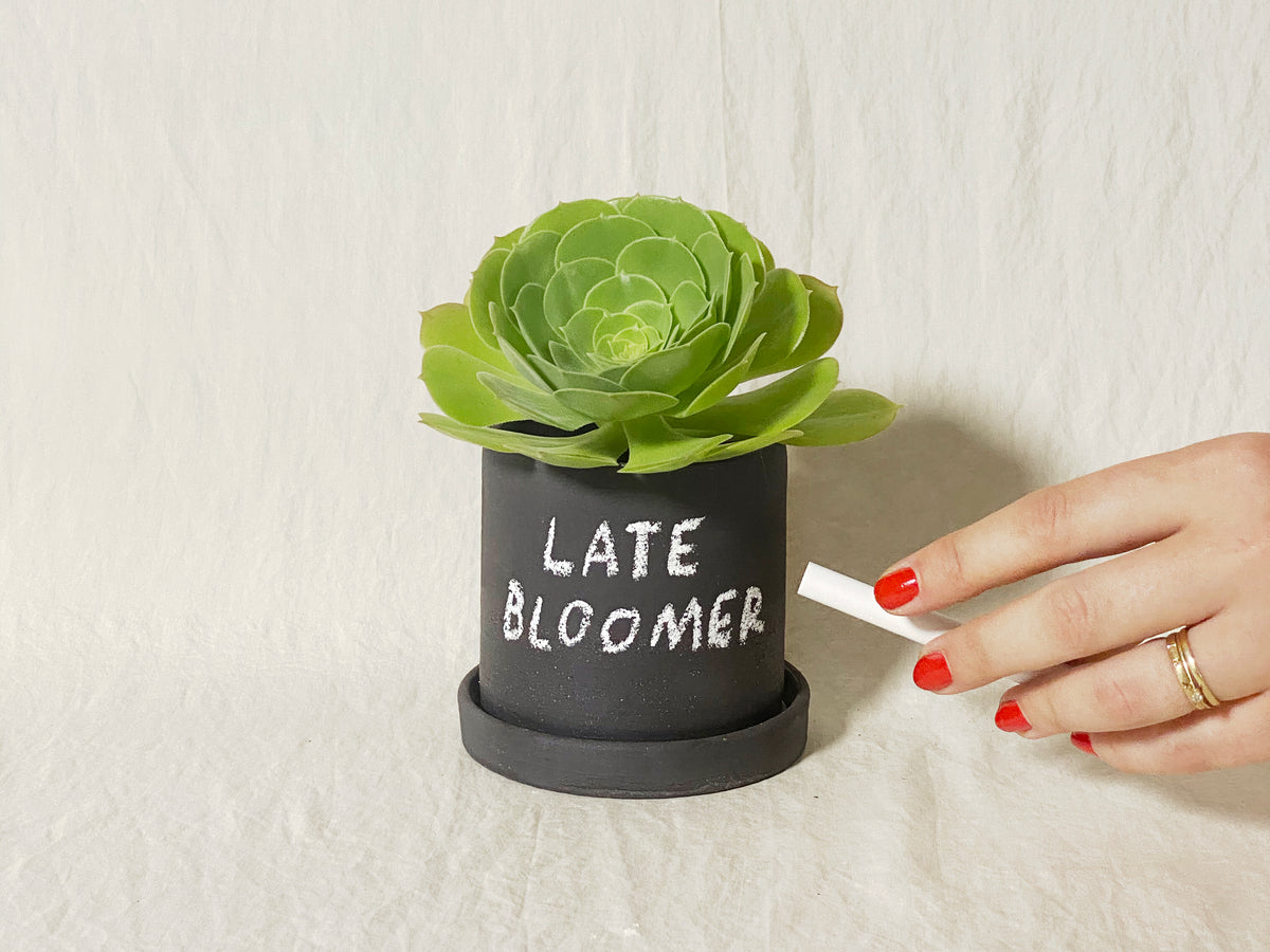 Chalkboard Planter / Pot