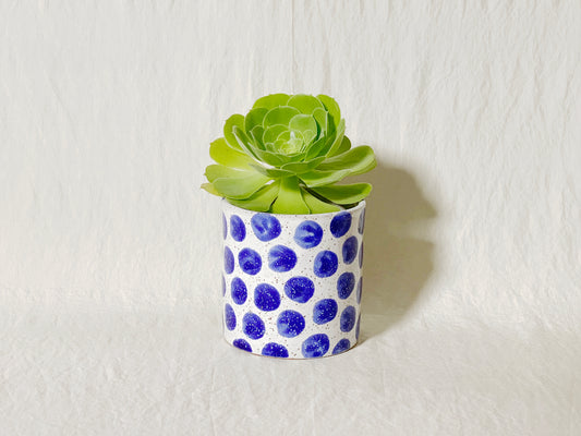 Polka Planter / Pot - Blue