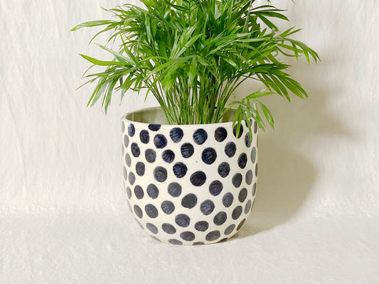 Polka Planter / Pot