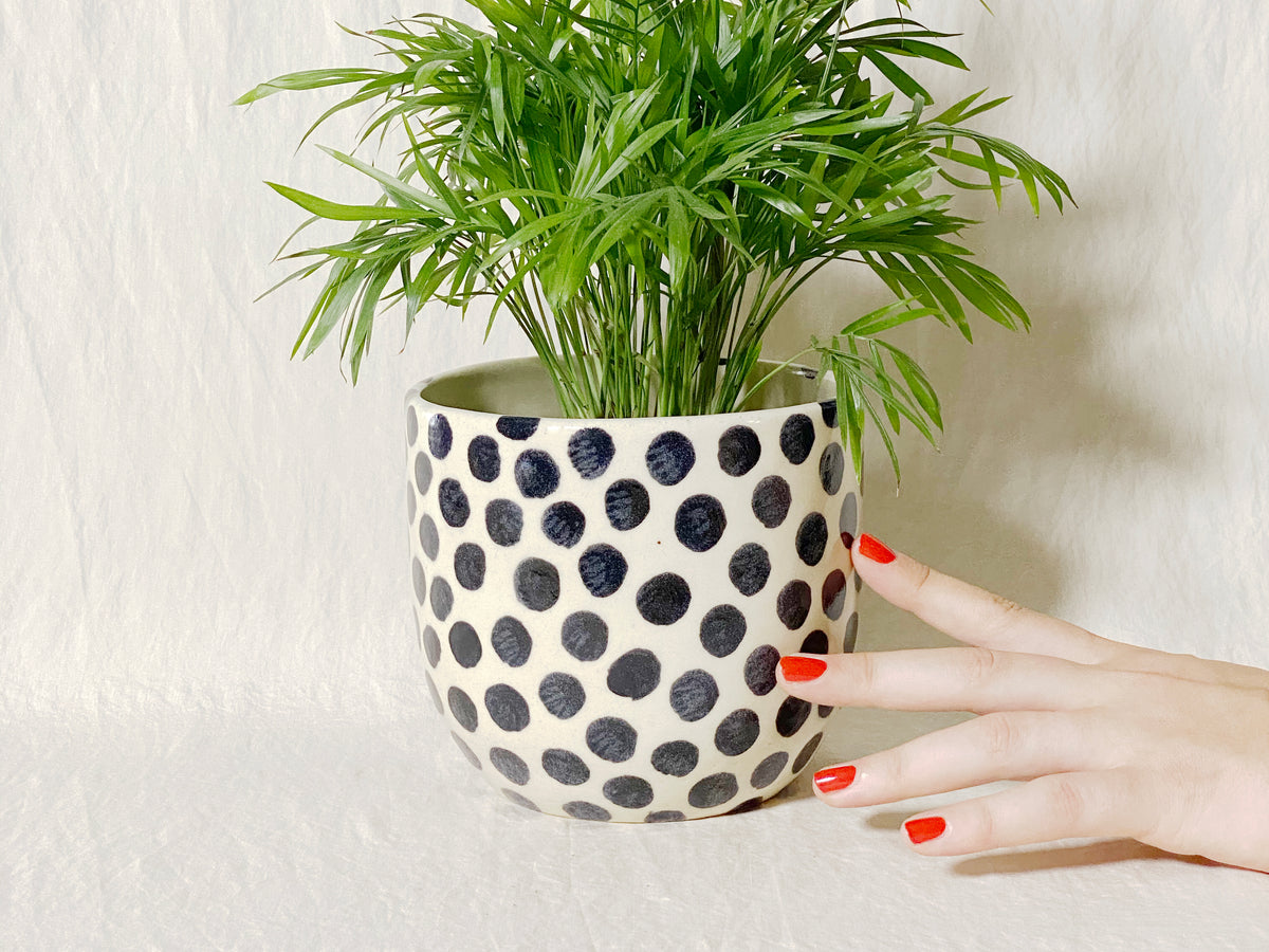 Polka Planter / Pot