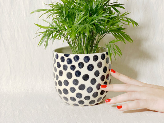 Polka Planter / Pot