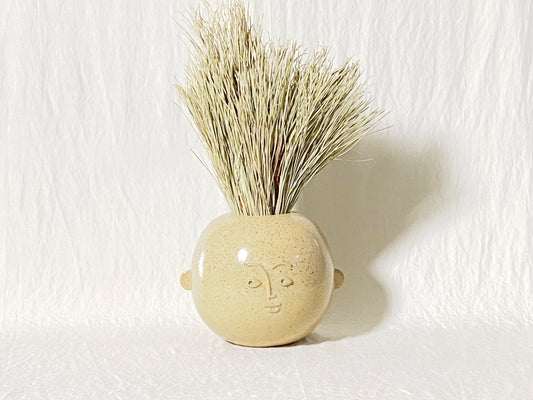 Face Vase