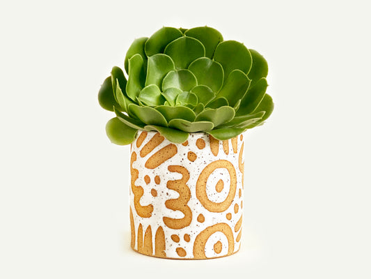 Pre-Order: "Doodle" Planter / Pot - Large Pattern