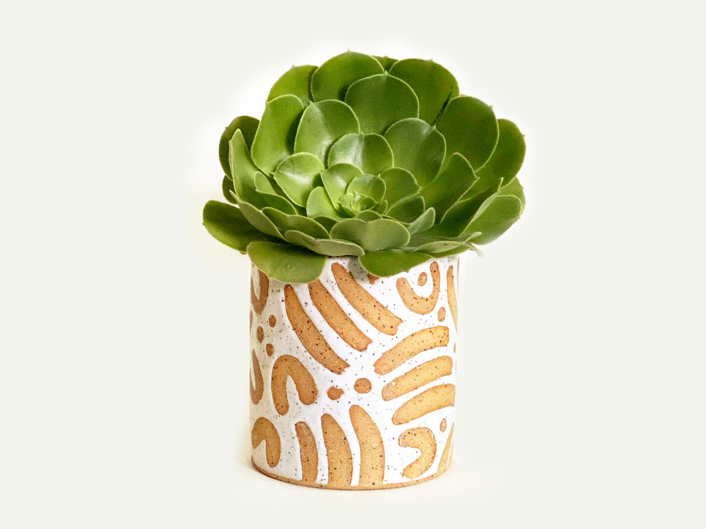 Pre-Order: "Jot" Planter / Pot - Large Pattern