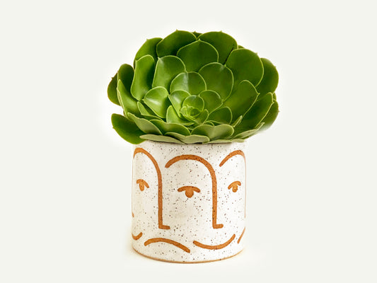 Pre-Order: "Mood" Planter / Pot