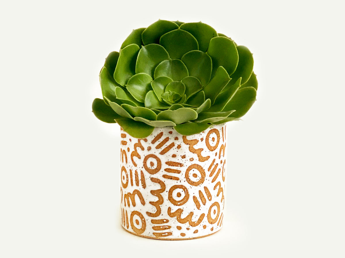 Pre-Order: "Doodle" Planter / Pot - Small Pattern