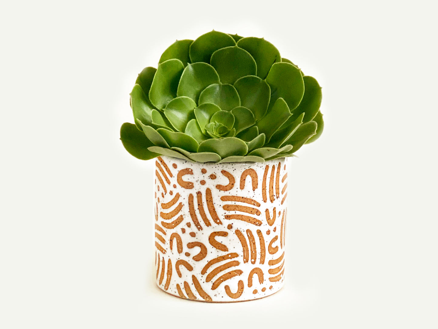 Pre-Order: "Jot" Planter / Pot - Small Pattern