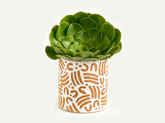 Pre-Order: "Jot" Planter / Pot - Small Pattern