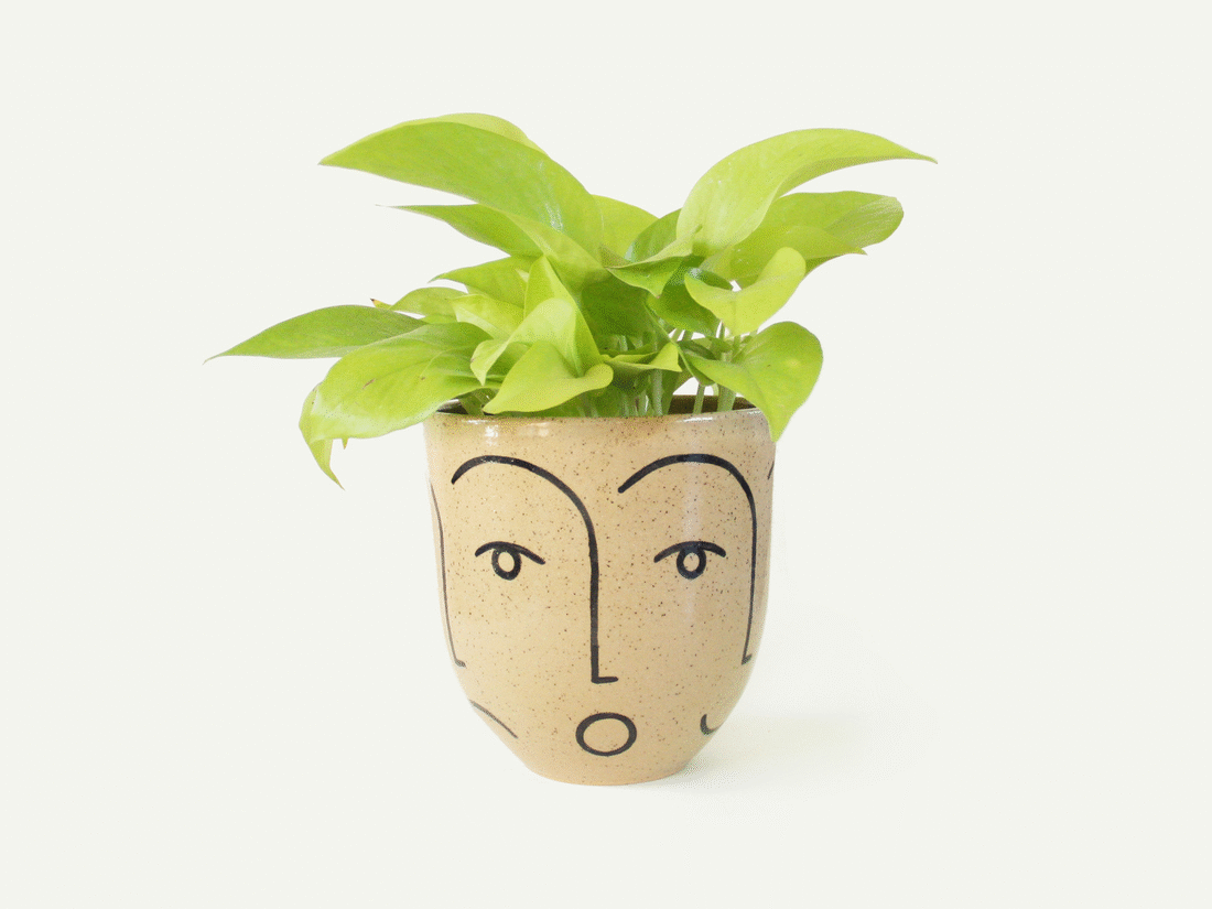 Face Planter / Utensil Holder