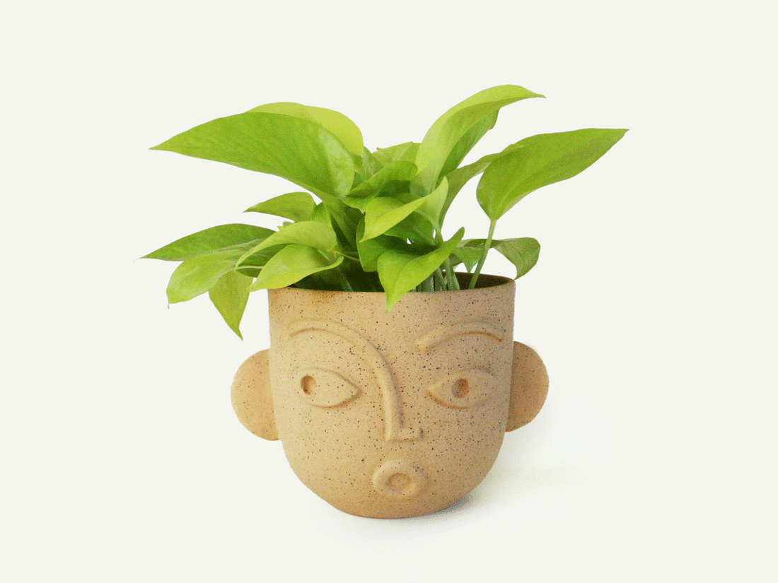 Dimensional Face Planter / Utensil Holder