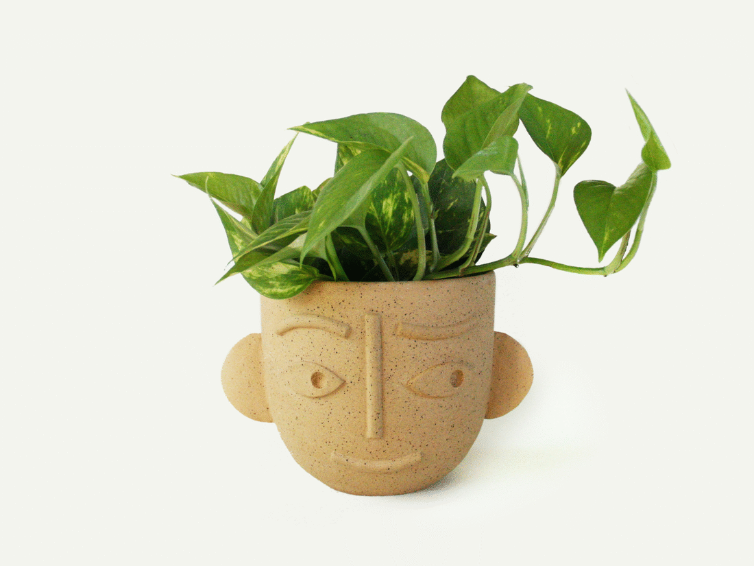 Dimensional Face Planter / Utensil Holder