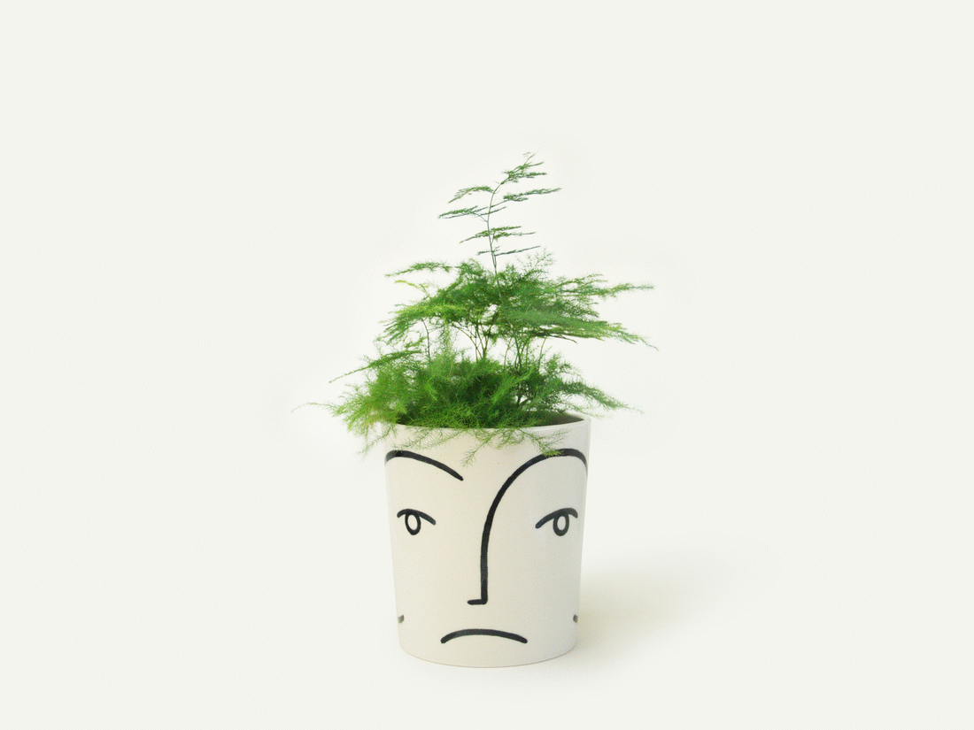 Face Planter / Utensil Holder