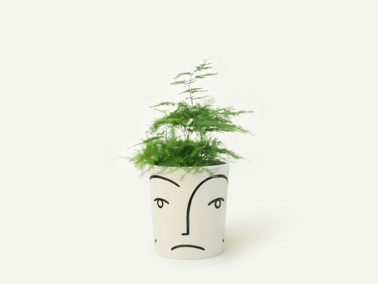 Face Planter / Utensil Holder