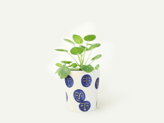 Face Planter / Utensil Holder