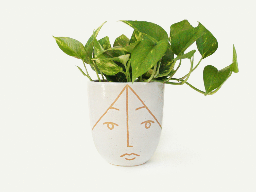 Face Planter / Utensil Holder
