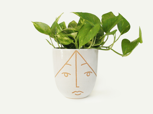 Face Planter / Utensil Holder