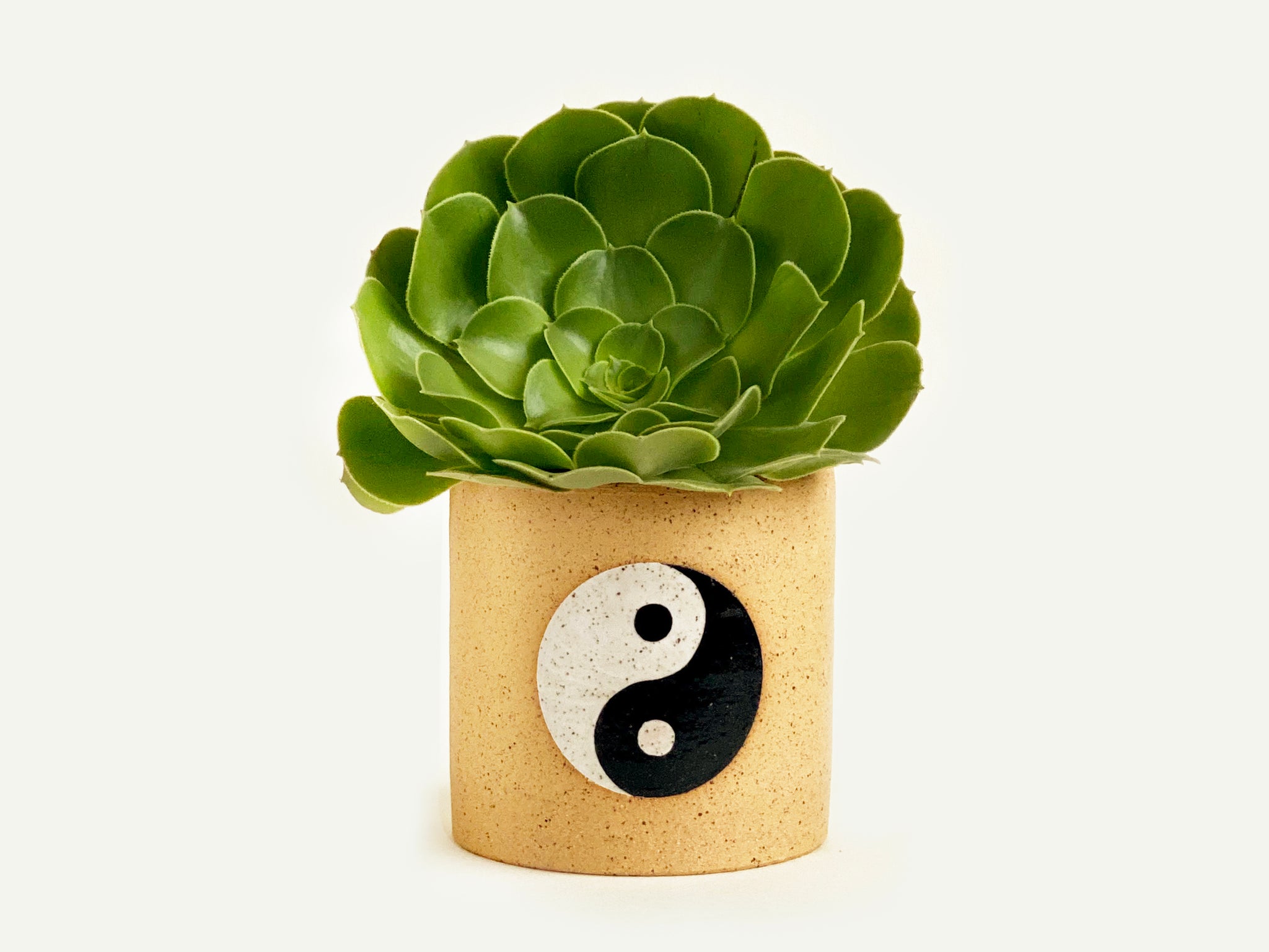 Pre-Order: Yin Yang Planter / Pot